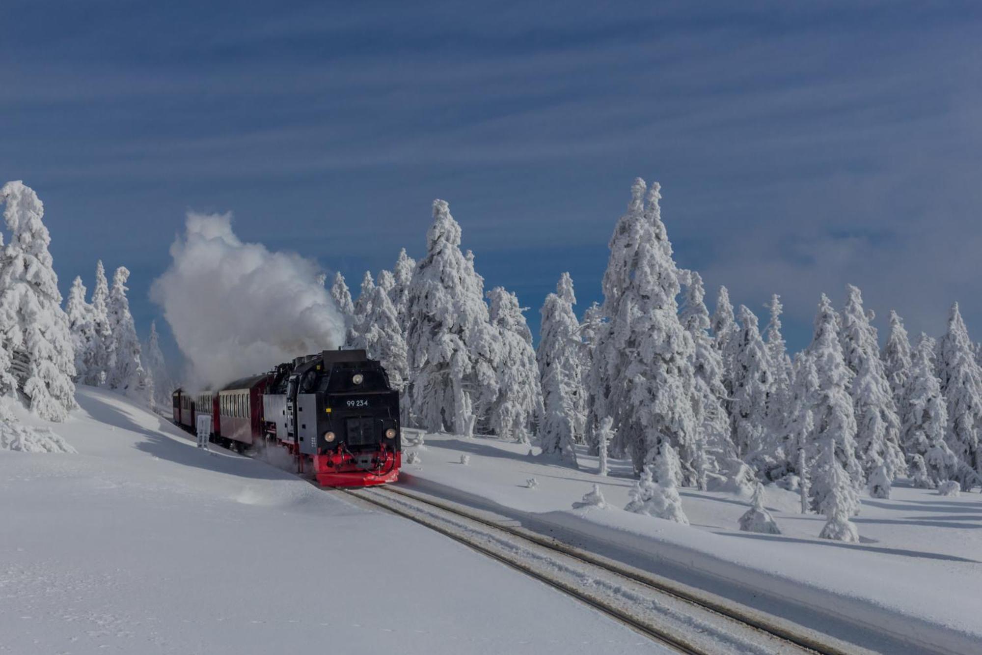 Fewo Fuchsbau Mit Dampfdusche #Kamin#Innenstadtnaehe#Netflix Von Harztraveler باد هازبرغ المظهر الخارجي الصورة